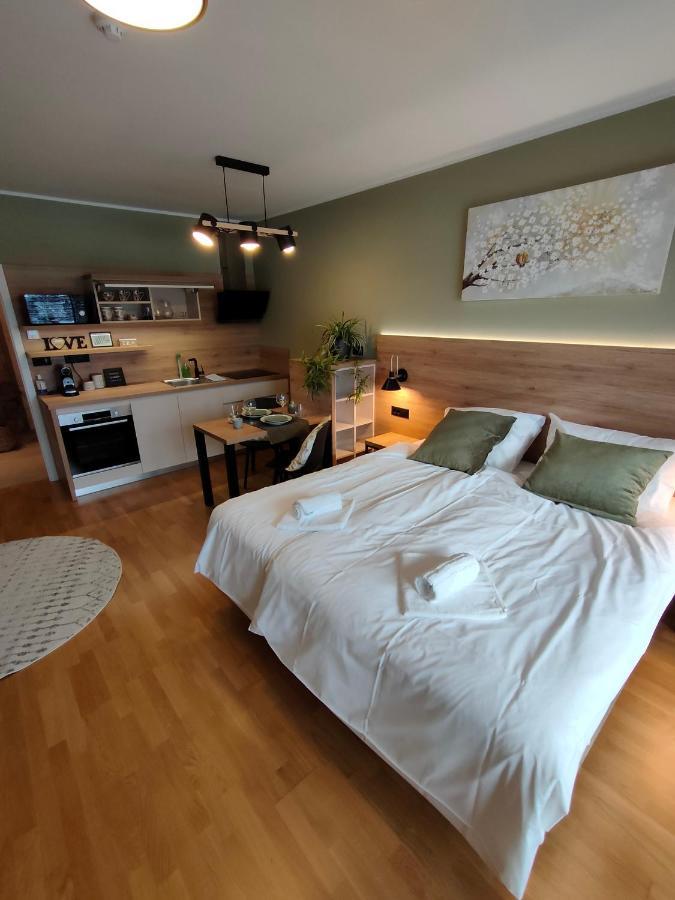 Bed & Breakfast Rezidenca Pipanova Любляна Экстерьер фото